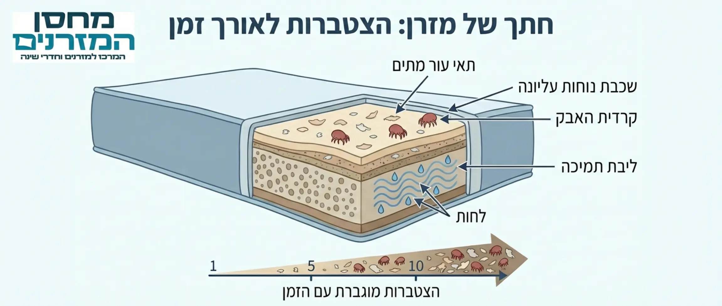 אינפוגרפיקה המציגה חתך של מזרן ומדגימה את השכבות השונות בהן מצטברים קרדית האבק, תאי עור מתים ולחות לאורך זמן