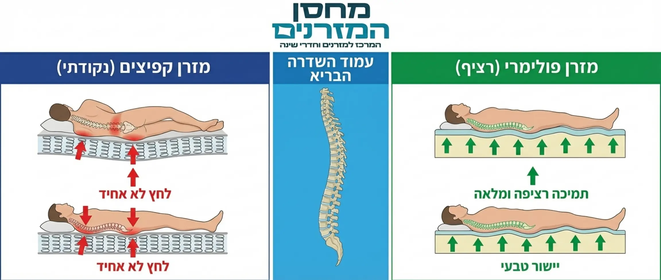 אינפוגרפיקה המשווה בין מבנה עמוד השדרה על מזרן קפיצים לעומת מזרן פולימרי המציג תמיכה רציפה ומלאה לכל קימורי הגוף