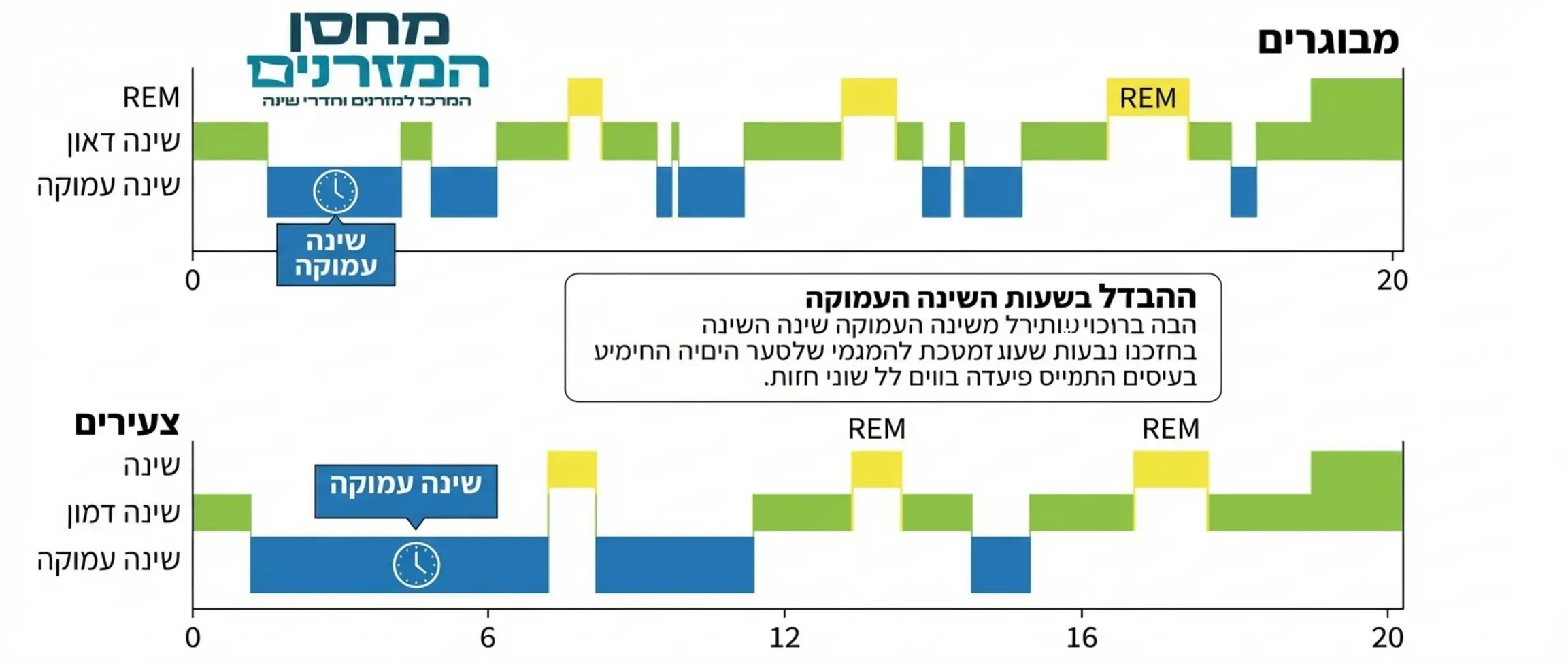 אינפוגרפיקה רפואית המציגה את מחזור השינה אצל אנשים מבוגרים לעומת צעירים, עם דגש על שעות השינה העמוקה