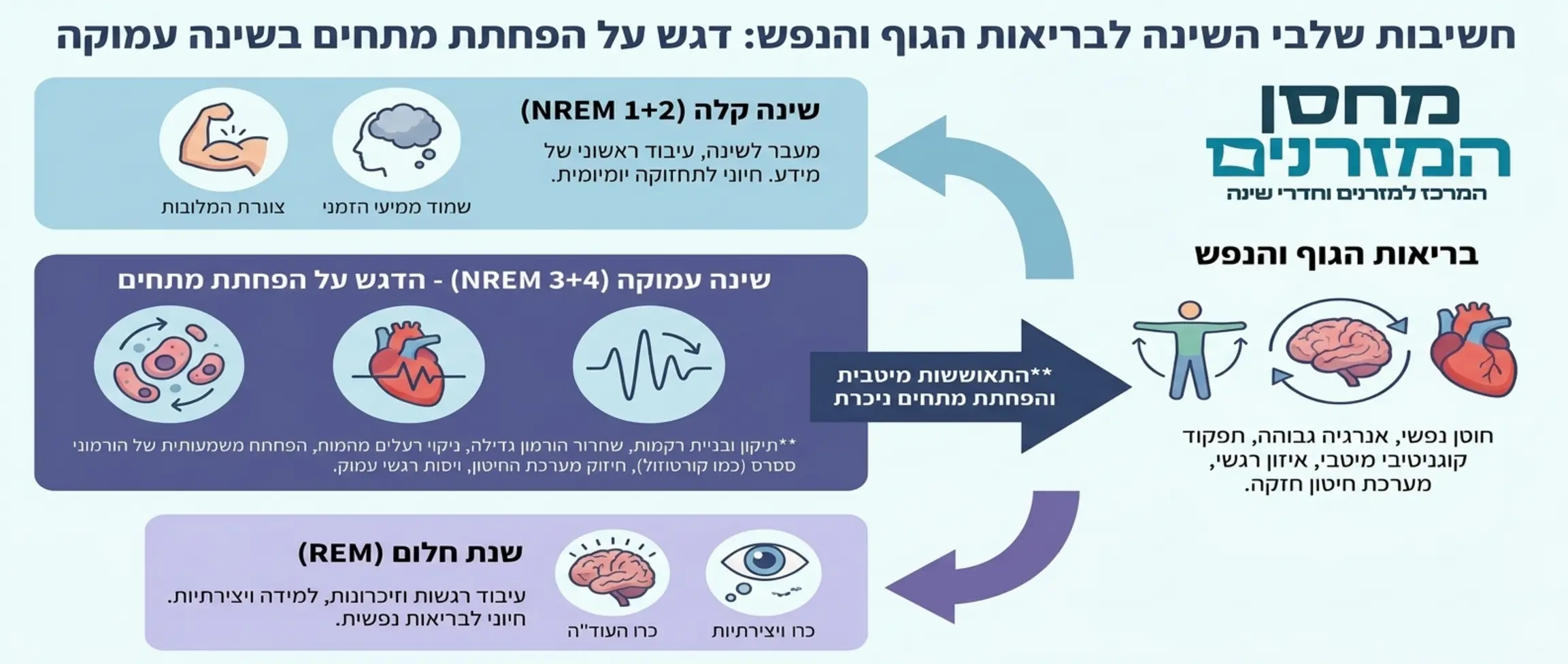 תרשים המציג את חשיבות שלבי השינה השונים לבריאות הגוף והנפש עם דגש על השפעת שינה עמוקה על הפחתת מתחים