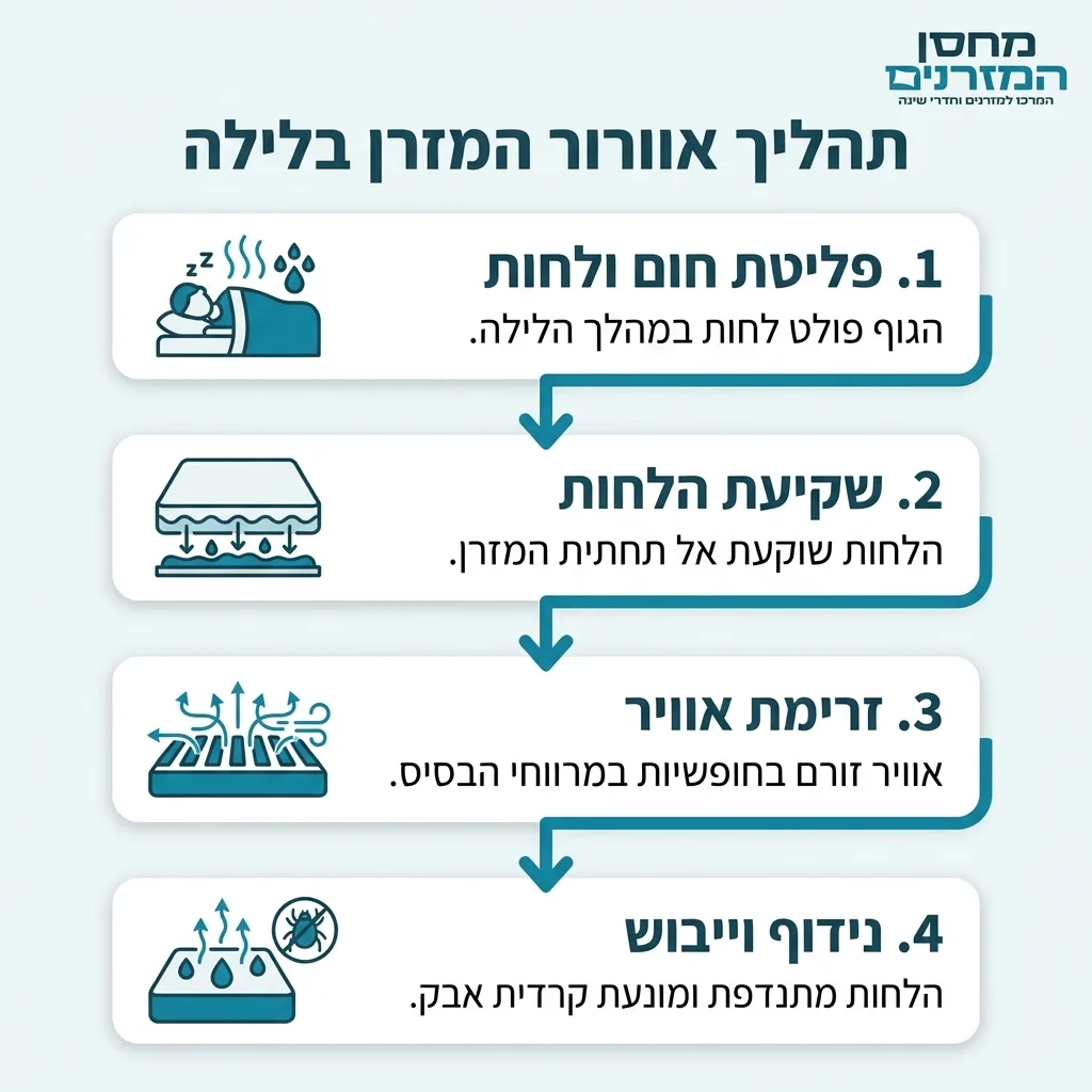 אינפוגרפיקה — תהליך אוורור המזרן בלילה: פליטת חום ולחות, שקיעת הלחות, זרימת אוויר, נידוף וייבוש