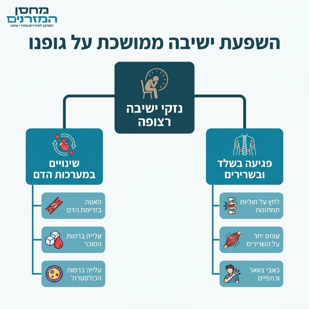 אינפוגרפיקה — השפעת ישיבה ממושכת על גופנו: נזקי ישיבה רצופה
